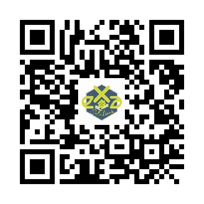 SAS EXA SOLUTIONS